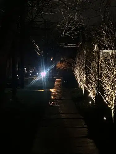 Nightfall's quiet glow on a wet, illuminated path.